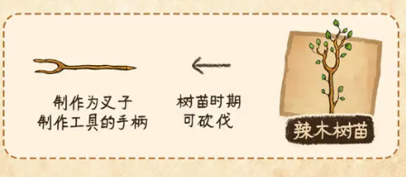 村落人生生存指南植物篇(图6)