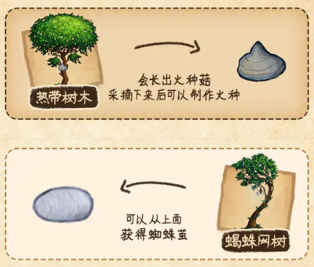 村落人生生存指南植物篇(图7)