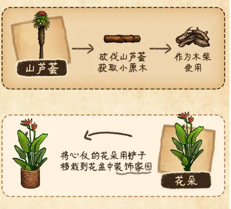 村落人生生存指南植物篇(图4)