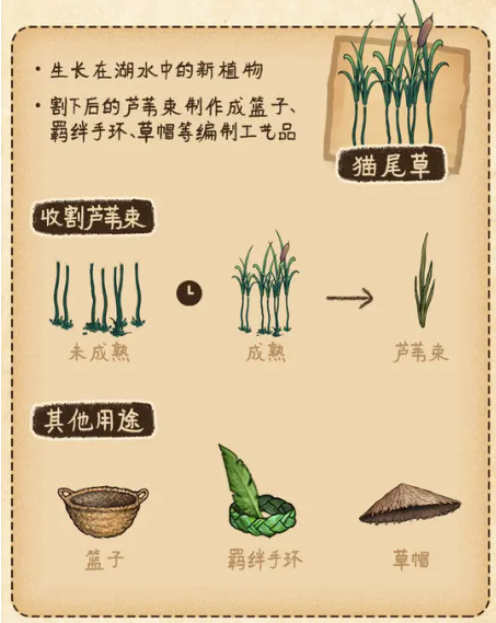 村落人生生存指南植物篇(图17)