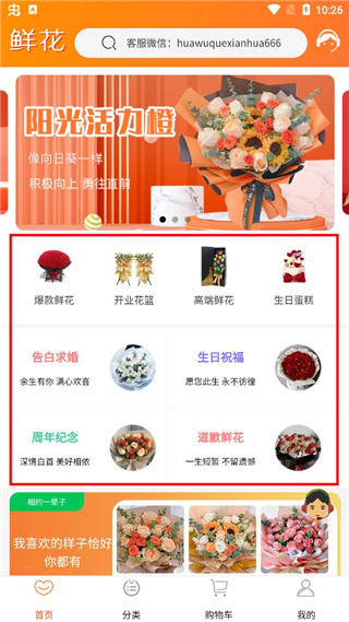 花勿缺鲜花(图3)