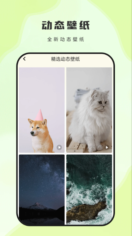 
神图壁纸 无广告