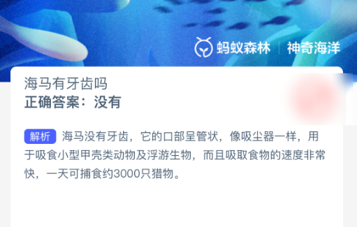 海马有牙齿吗(图2)