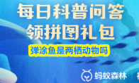 弹涂鱼是两栖动物吗