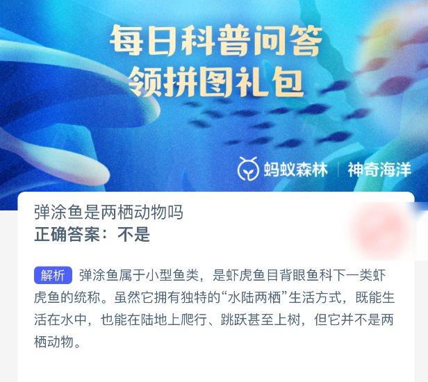 弹涂鱼是两栖动物吗(图2)