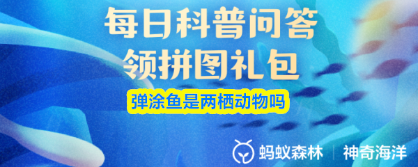 弹涂鱼是两栖动物吗(图1)