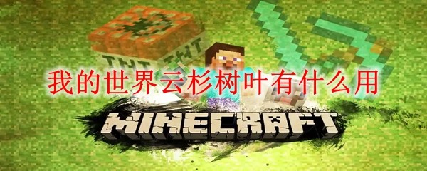 我的世界云杉树叶有什么用(图1)