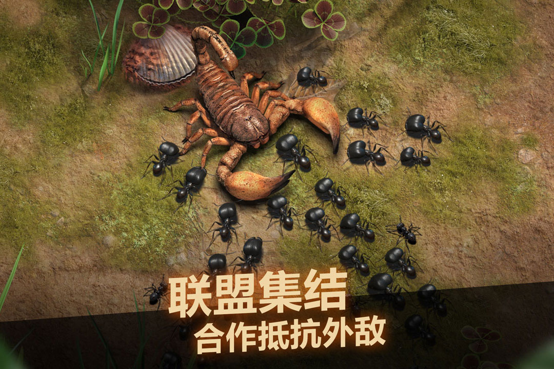 
小小蚁国