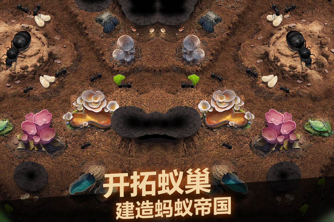
小小蚁国