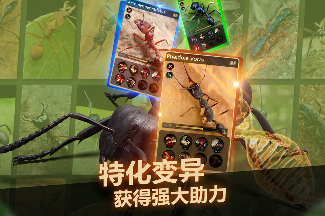 
小小蚁国
