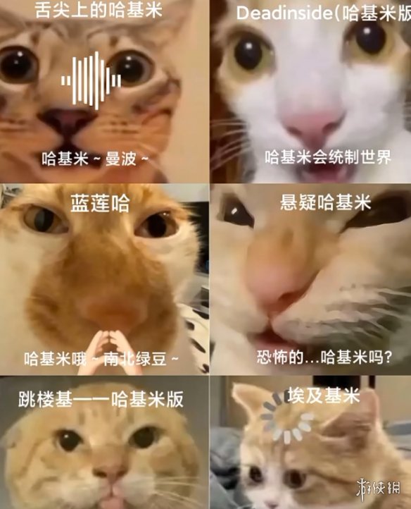 万恶起源：哈基米编年史(图4)