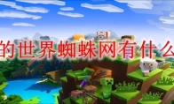 我的世界蜘蛛网有什么用2025
