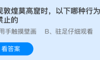 参观敦煌莫高窟时，以下哪种行为是绝对禁止的
