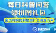 密斑刺鲀的刺是由什么演变而来