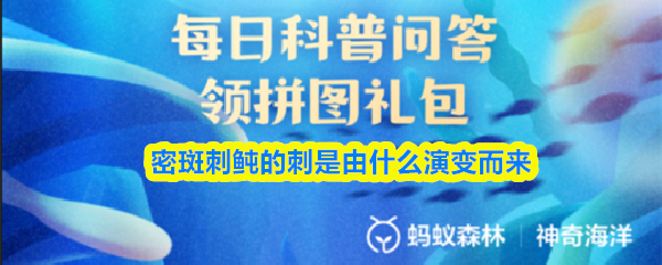 密斑刺鲀的刺是由什么演变而来(图1)