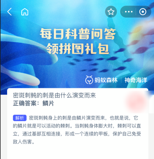 密斑刺鲀的刺是由什么演变而来(图2)