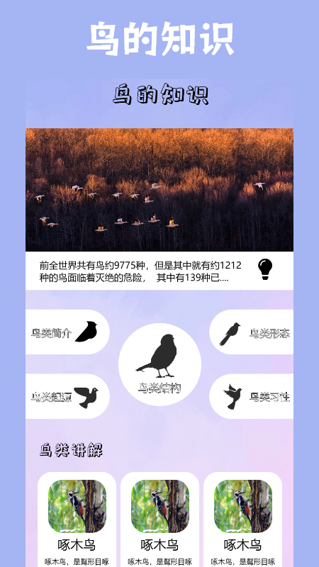 
小鸟壁纸app
