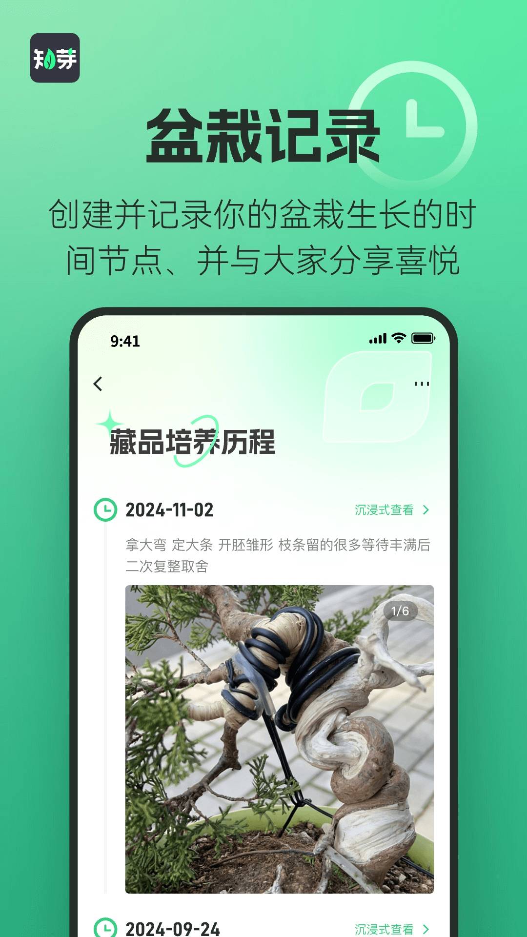 
知芽盆栽