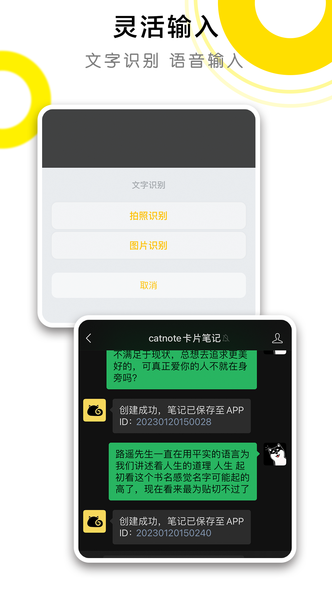 
CatNote app