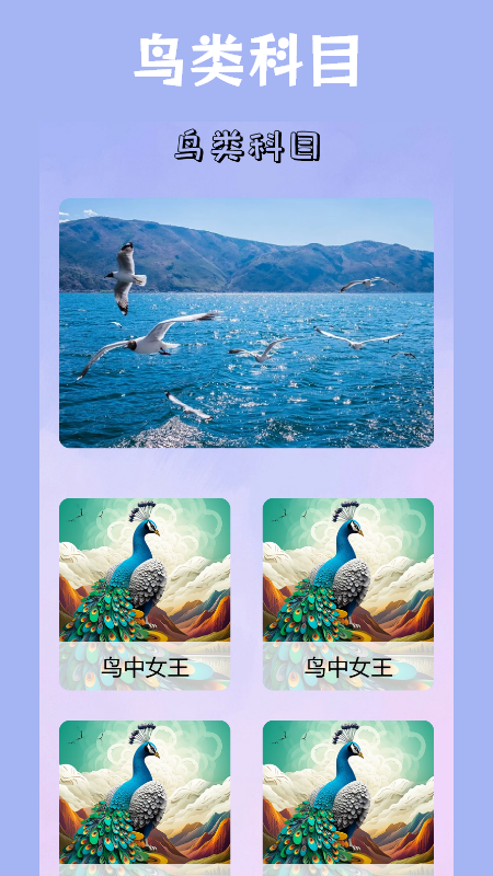 
小鸟壁纸app