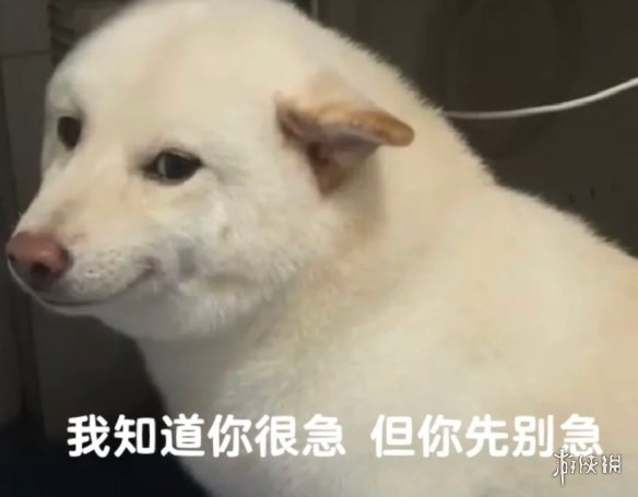 我决定穿越进网络小说打游戏(图1)