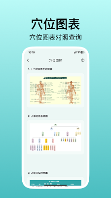 
人体穴位图解
