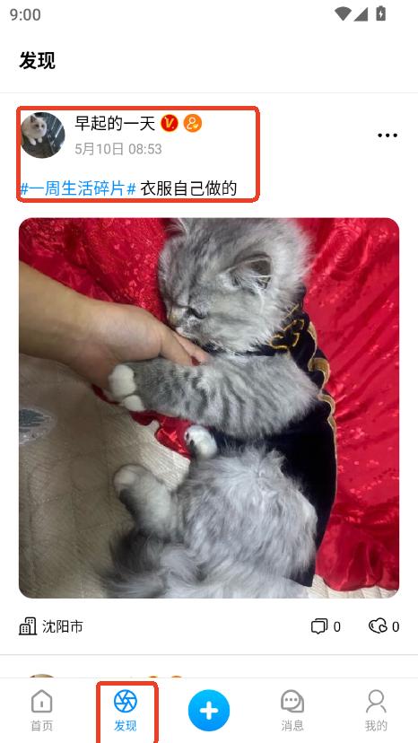 猫匿app安卓版下载
