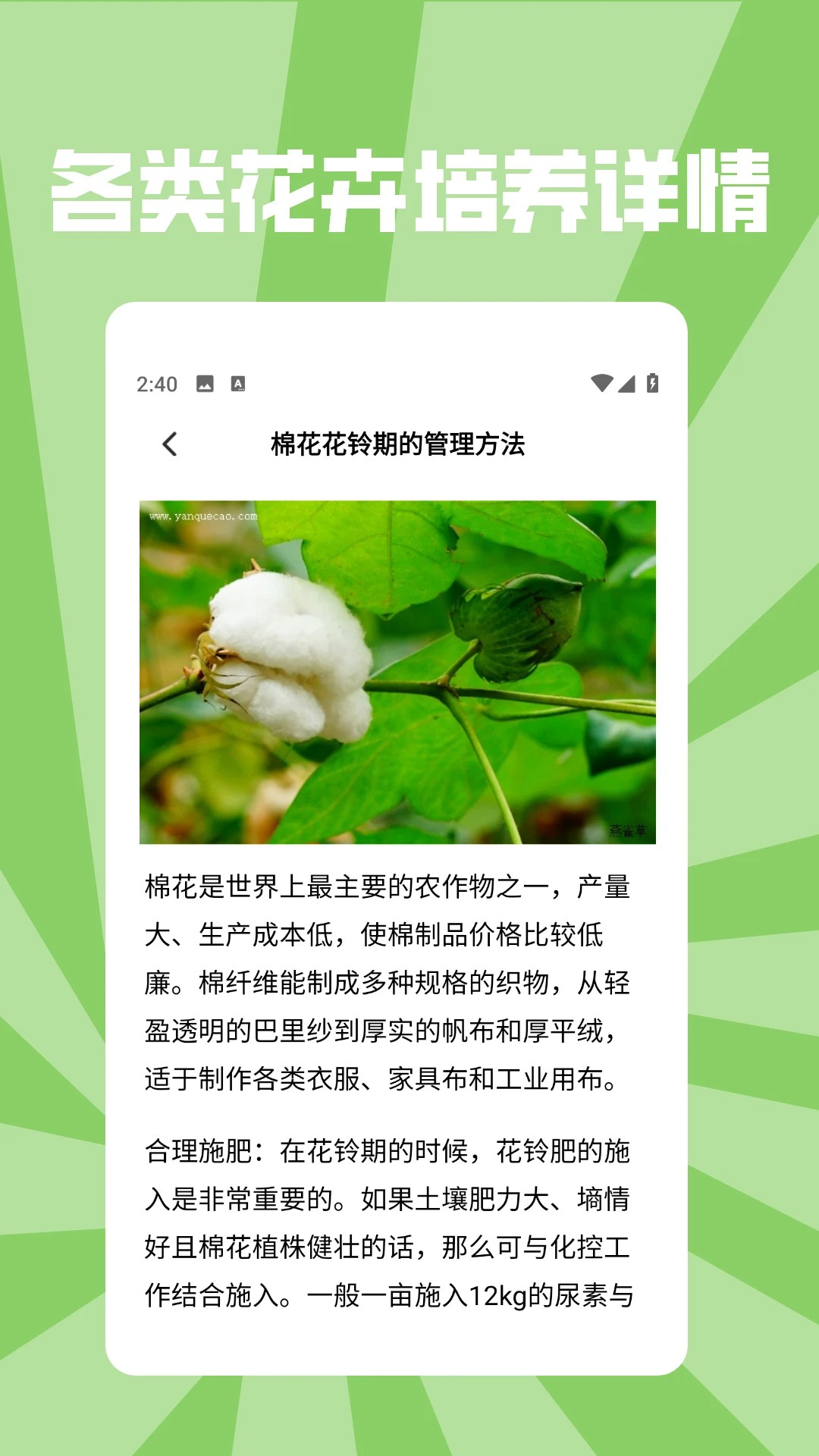 
花朵物语pro