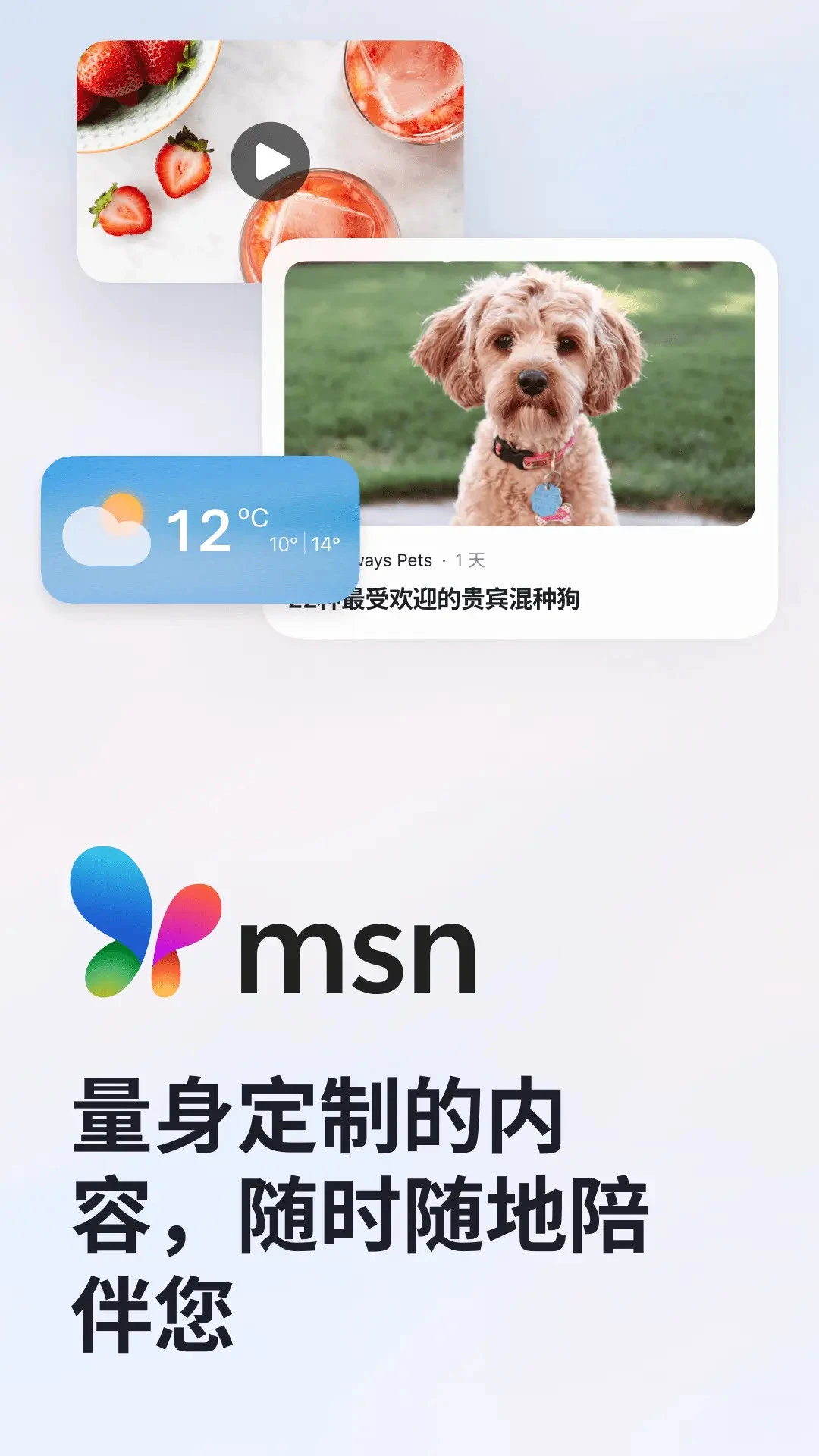 
MSN