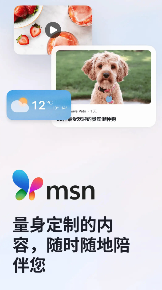 MSN(图2)
