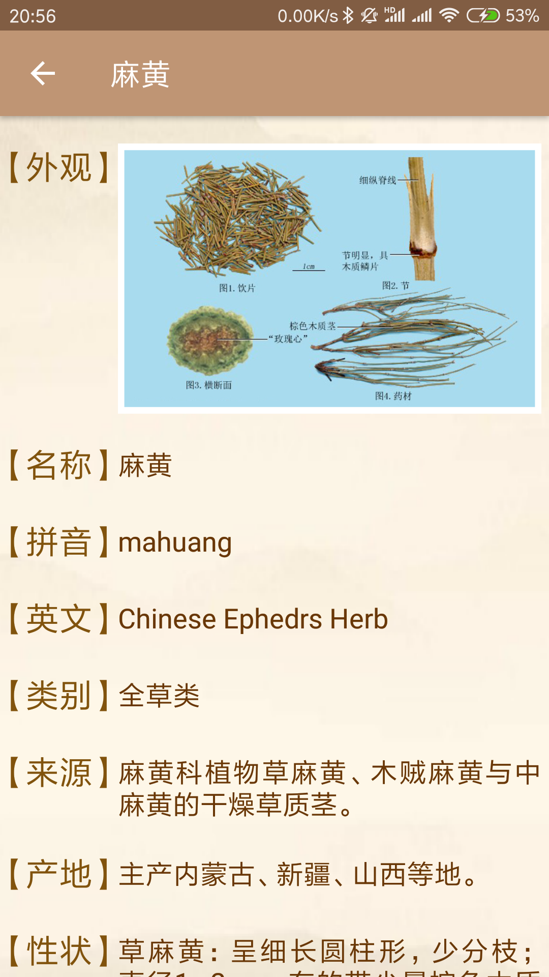 
中医方歌app