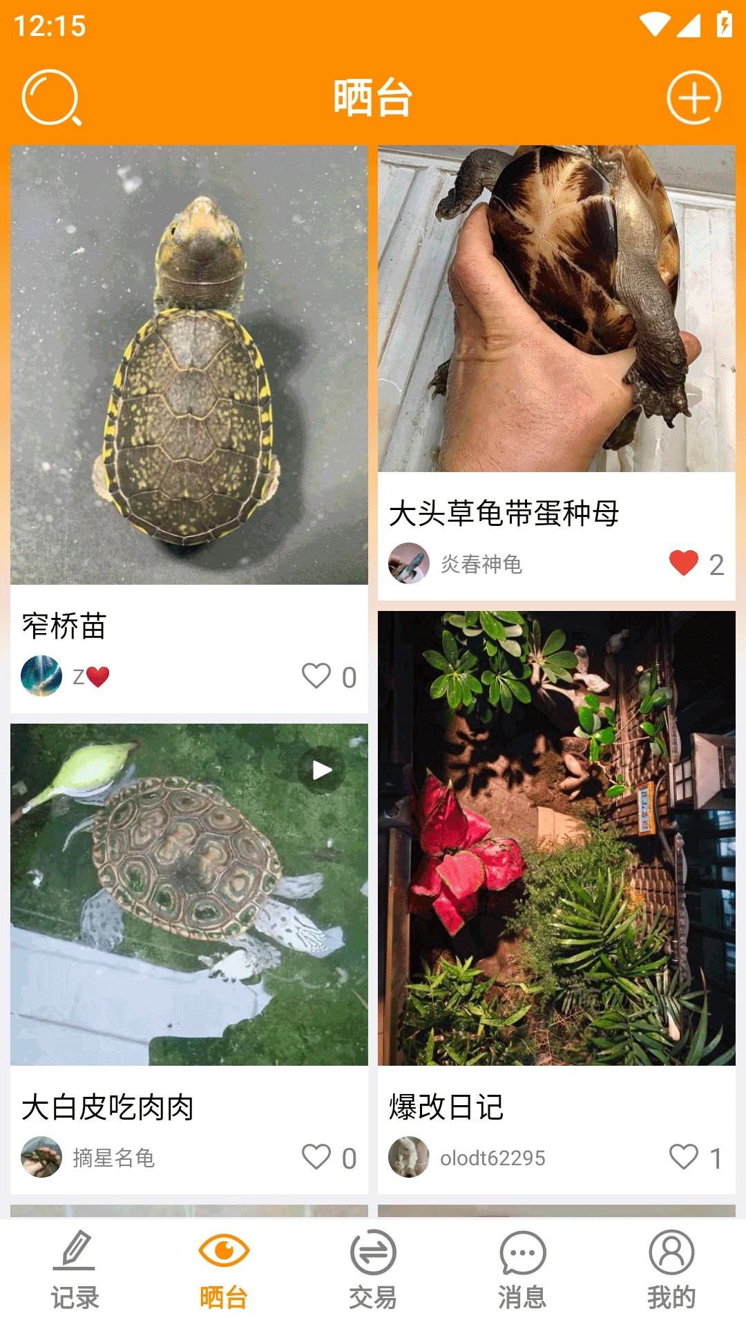 
龟圈江湖