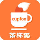 茶杯狐cupfox 努力让找电影变得简单