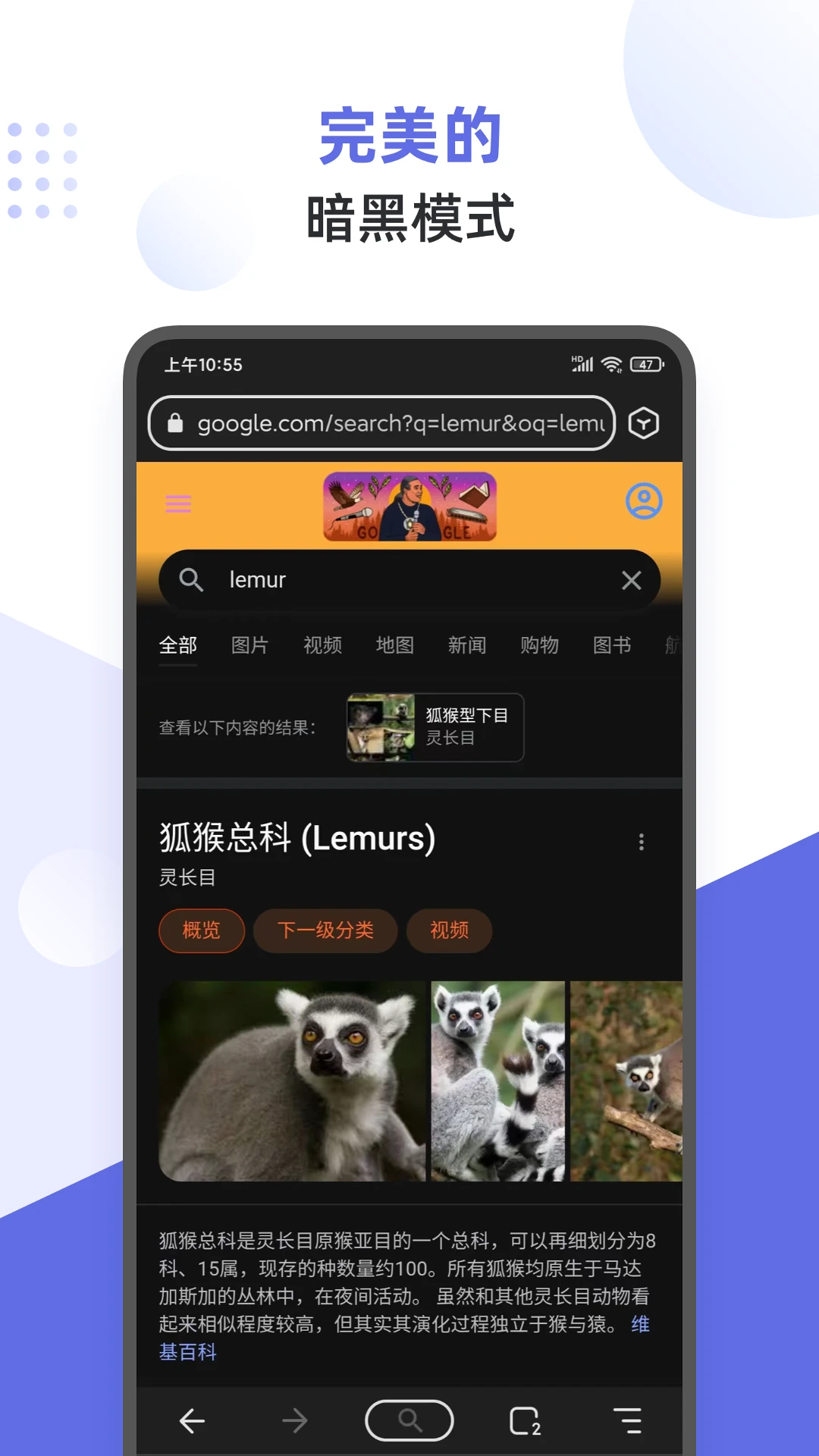 
狐猴浏览器 官网版