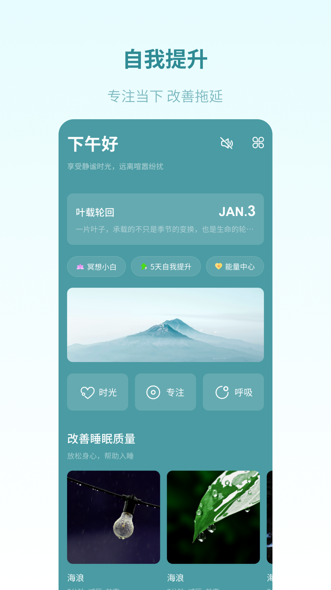 
梵花田