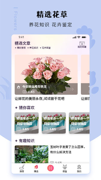 
幸福养花场