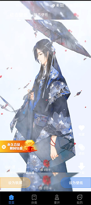 全民免费壁纸 无广告版(图2)