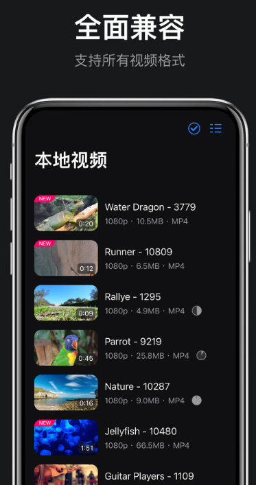
rPlayerVR播放器
