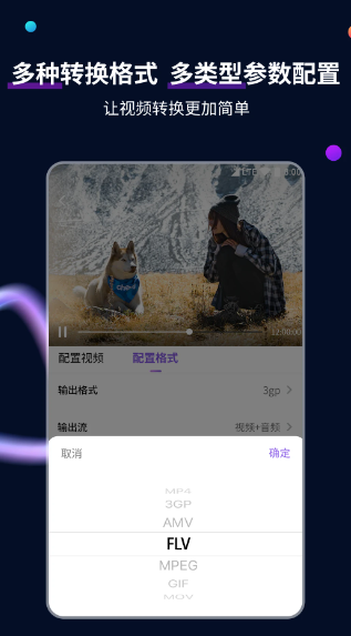 视频格式转换工具(图3)