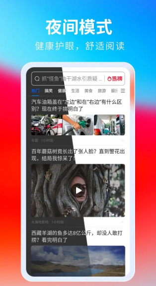 飞觅浏览器(图1)