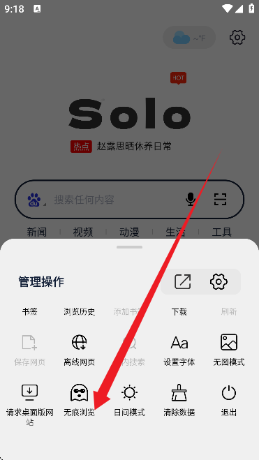 Solo浏览器 正版(图4)