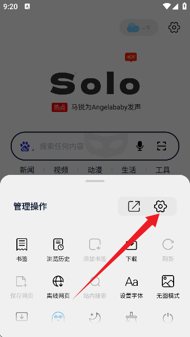 Solo浏览器 正版(图5)
