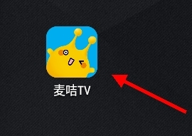 麦咭TV 手机版(图1)
