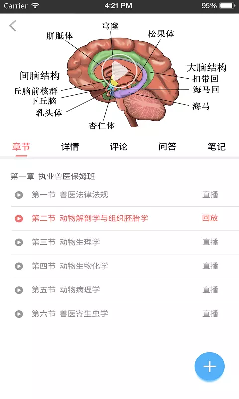 兽课网app