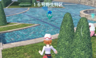 《宝可梦传说 Z-A》闪光头目呱呱泡蛙抓捕攻略分享