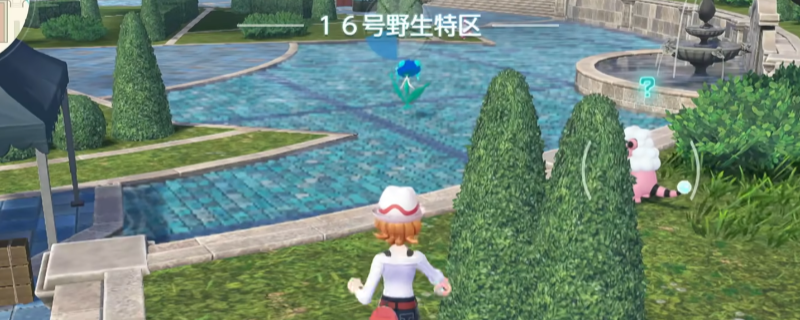 《宝可梦传说 Z-A》闪光头目呱呱泡蛙抓捕攻略分享