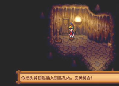 星露谷物语沙漠矿洞进入方法6