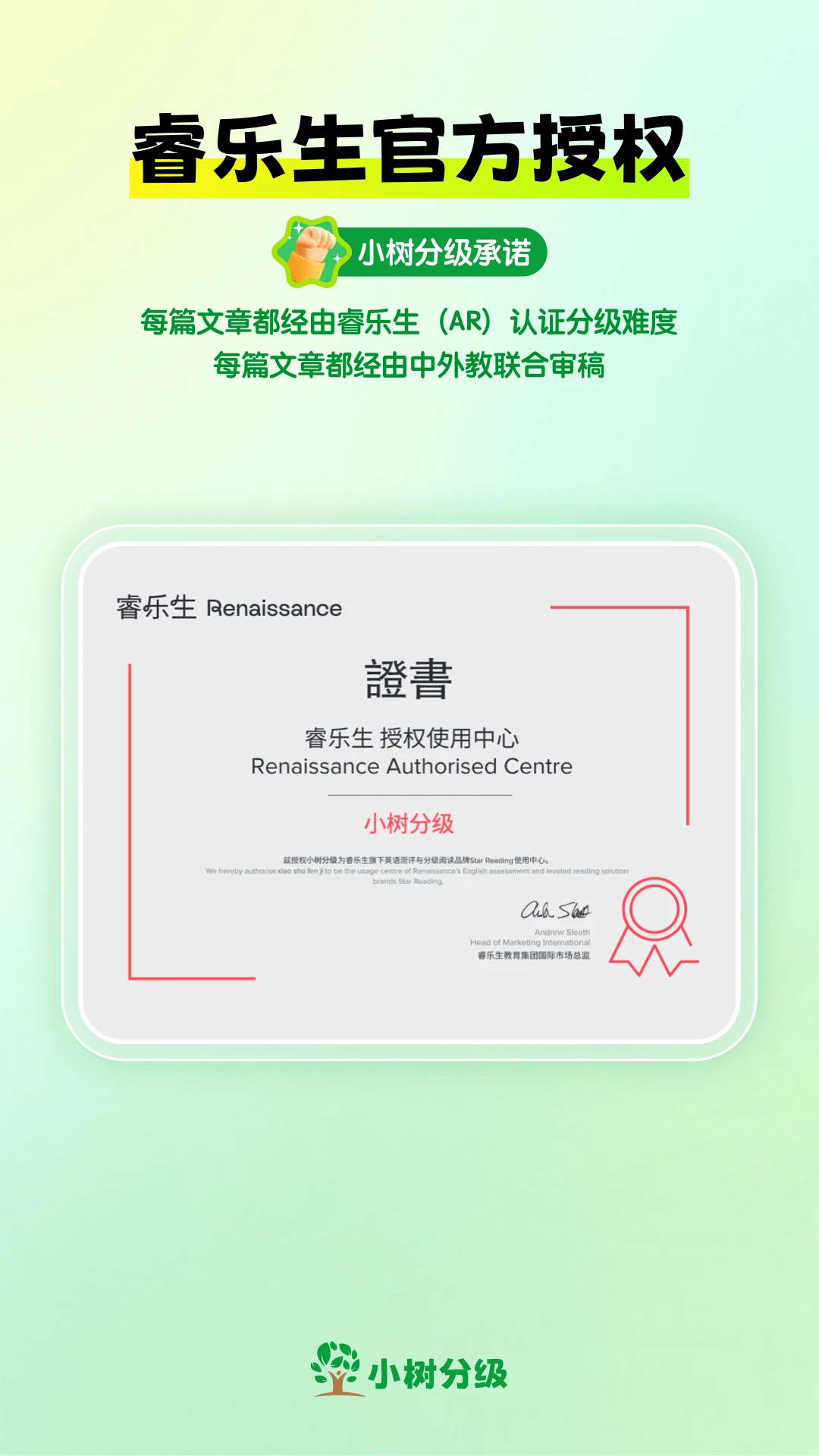
小树分级
