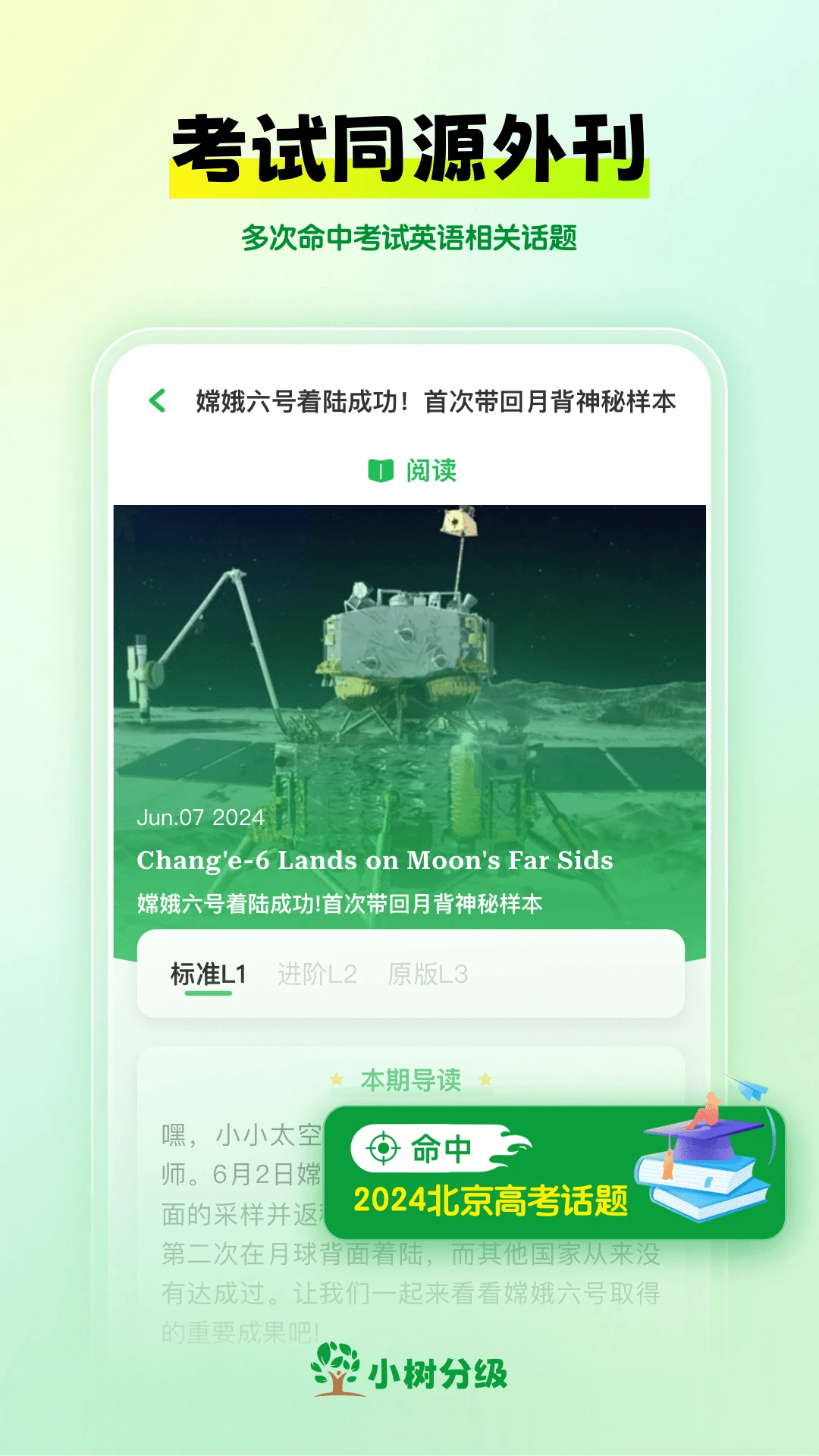 
小树分级