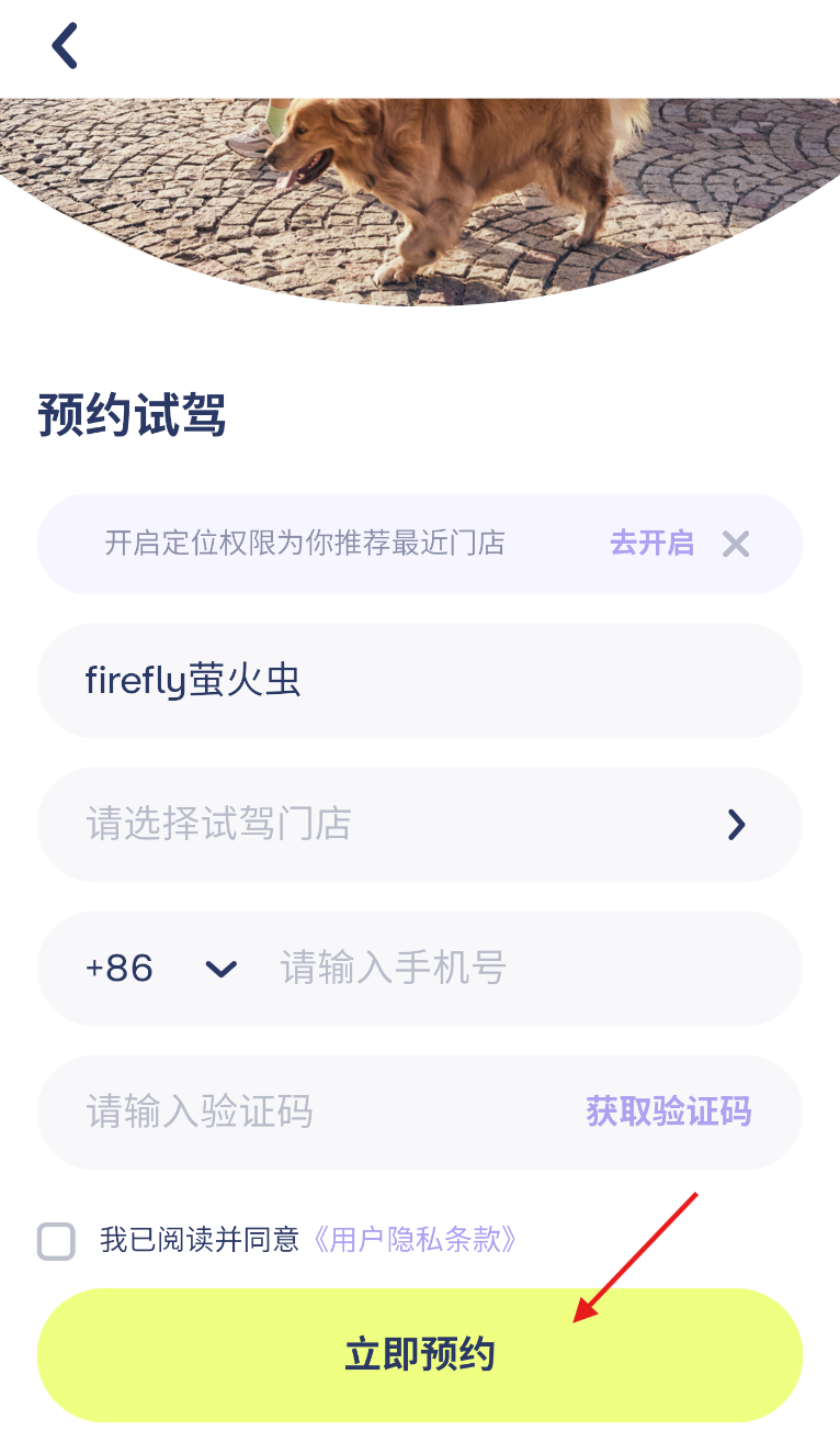 firefly萤火虫(图4)